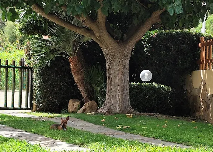 Vittorio House Indipendente Con Giardino A *